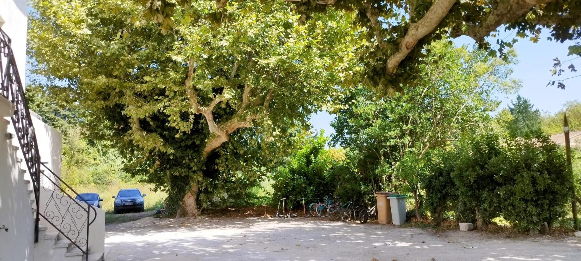 르 토르 Mas En Provence 빌라 외부 사진